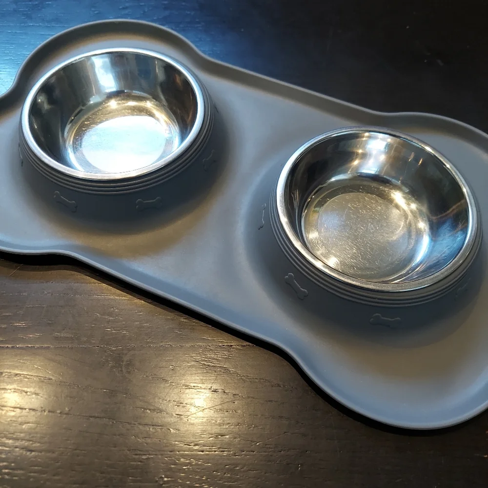 Small Stainless Steel Pet Bowl With No Spill Skid Resistant Silicone Mat
